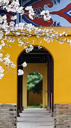 大林寺①桃花〔唐〕白居易
  
人间四月芳菲尽②，山寺桃花始盛开③。
长恨春归无觅处④，不知转入此中来⑤。