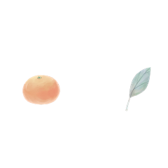 永不停电采集到植物png