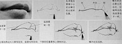 哈利璐璐呀HL采集到教程