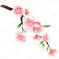 植树桃花插画花朵元素素材