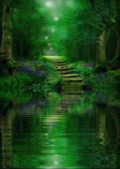手携朝阳丶触碰彩虹的心跳采集到背景素材/森林系