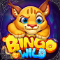 BingoWild