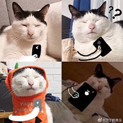 #超好用表情包大赛# 还有什么更多的表情包... 来自瓜皮的id酱 - 微博