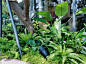 地产花境 | 香港置地·天湖翠林 : 本案是位于青羊区的香港置地·天湖翠林售楼部的花境营造，一场全新的尝试：打破植物材料的地域限制，把极具热带风情的植物与常见的花境植物品种来进行的综合性运用。 在上层乌桕林掩映下，形成了一幅郁葱繁茂、生机