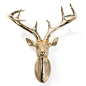 Deer Head - 17.75"H from Z Gallerie: 