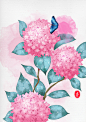 随笔绣球花_落茶茶__插画师作品_涂鸦王国gracg.com