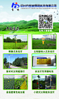 宝迪频振式杀虫灯