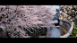 Cinematic Japan #1 : Tokyo. City from the future.