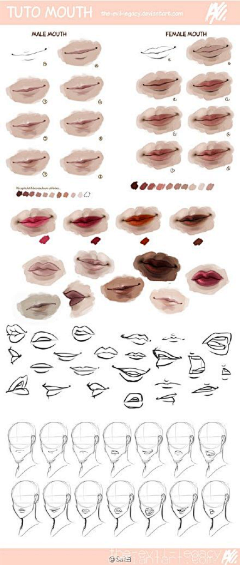 雅贤YY采集到【绘画-人体结构】嘴巴、鼻子