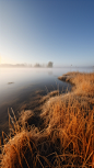 SharonHall_a_clear_lakefogclear_cloudless_skysome_grassphotogra_35b58146-9079-47c9-a4dc-f00d0d51643c.png (816×1456)
