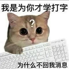 带字的喵喵表情包来噜