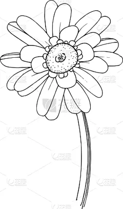 非洲雏菊,植物学,黑色,铅笔,壁纸,植物群,春天,乡村风格,花