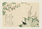 1788年浮世绘大师Kitagawa Utamaro绘制的《昆虫书》，惟妙惟肖，耐人寻味。