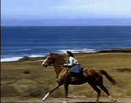 骑马 gif_百度图片搜索