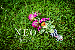 NEOWedding采集到复古马戏团