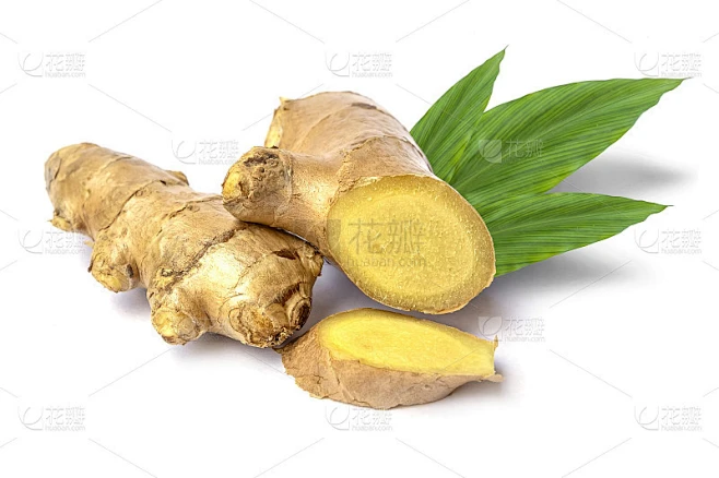 鲜姜和姜片，叶裂，白色底。素材-花瓣网