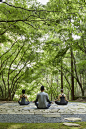 日本京都安man市-temgamine花园的冥想