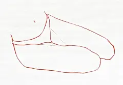 人体素材