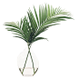 Palm Leaves Odd Glass Bubble by NDI