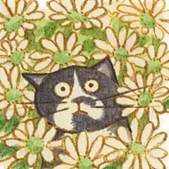 每日艺术家|Eunyoung Seo清澈愚蠢的猫咪 - 小红书