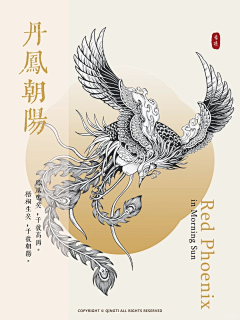 risingland采集到凤凰