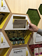 Design showcase: NutriCentre seeks to disrupt health retail with new store design - Retail Design World