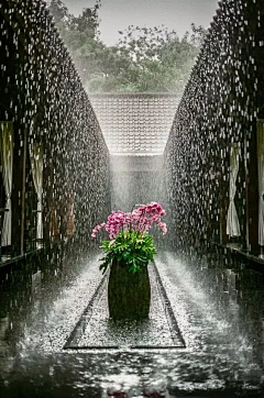 雨馨静雪采集到可爱图