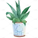 手绘小清新绿植元素