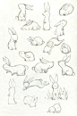 Cute rabbits <a class="text-meta meta-link" rel="nofollow" href="<a class="text-meta meta-link" rel="nofollow" href="<a class="text-meta meta-link" rel="nofollow" href="ht