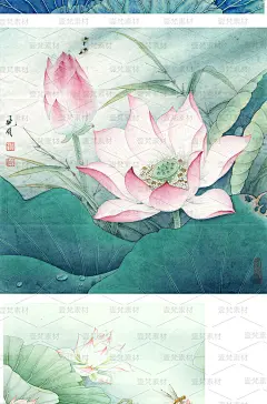 高清工笔画荷花竹子水墨海报传统中国风欣赏临摹jpg设计素材-淘宝网