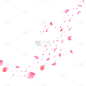 粉色漂浮花瓣元素5
