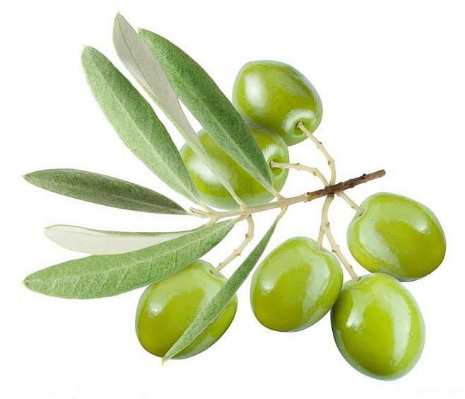 橄榄  Marinated Olives...