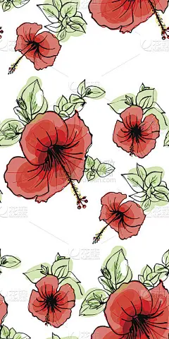 花无缝背景图案春夏季节。木槿花手绘。矢量插图的纺织品，包装纸，墙纸，Ñ窗帘。