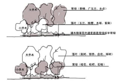 青雀锦字采集到F 植物组团形式