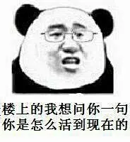 39851楼上的我想问你一句你是怎么活到现在的 斗图 表情包 花瓣搜索【关键字+飞天胖虎】可以找到系列表情包