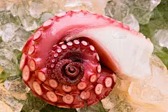 圆子
