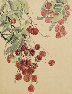 zoro筱采集到国画