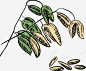 绿色植物麦穗图图标 麦 麦子 麦穗 麦穗图标 UI图标 设计图片 免费下载 页面网页 平面电商 创意素材