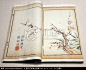 清代芥子园画传