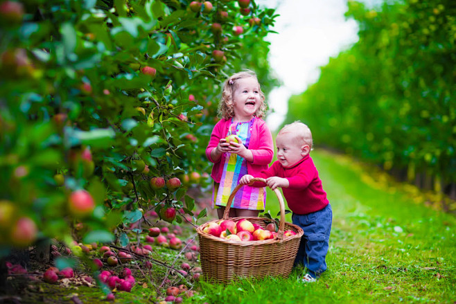 苹果园里的可爱小孩图片 #正太# #萌货...