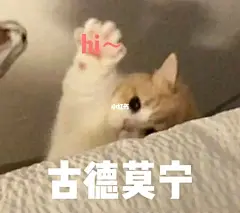 「早安」可爱小猫早安表情包合集 get✓