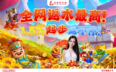 6688官方登录入口——安全快捷的官方通道指南