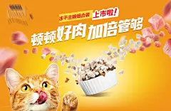 猫咪猫粮banner