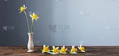 深色背景木桌上花瓶里的黄色水仙