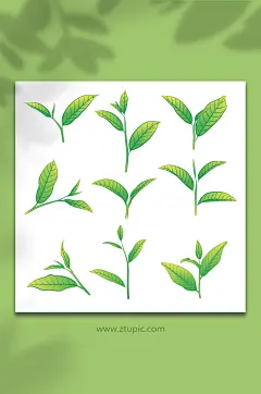 鲜嫩矢量绿茶茶叶插画元素