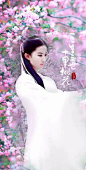 刘亦菲，1987年8月25日出生于湖北省武汉市，影视女演员、歌手，毕业于北京电影学院2002级表演系本科班。

2002年出演《金粉世家》和《天龙八部》步入演艺圈，2004年主演《仙剑奇侠传》人气大增。2006年主演《神雕侠侣》中的“小龙女”一角而受到更广泛关注，同年发行首张个人专辑《刘亦菲》。2008年与成龙、李连杰出演好莱坞电影《功夫之王》。在2009年4月的“80后新生代娱乐大明星”评选活动中，成为内地“四小花旦”之一。2011年主演的电影《新倩女幽魂》和《鸿门宴》以及2012年主演的电影《四大名捕