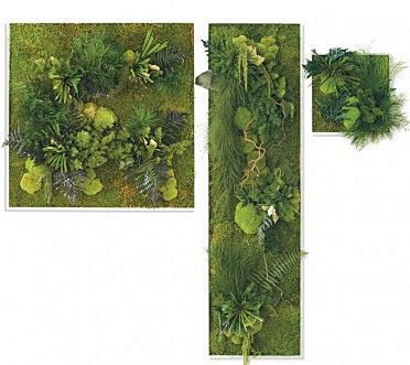 Fern and Moss Wall A...