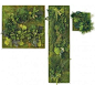 Fern and Moss Wall Art - VivaTerra