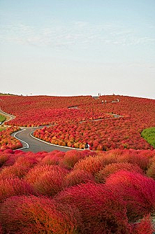 最爱潇潇采集到向往的旅行