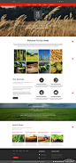 红色导航农业农产品企业网站模板 - 网页模板 HTML素材网